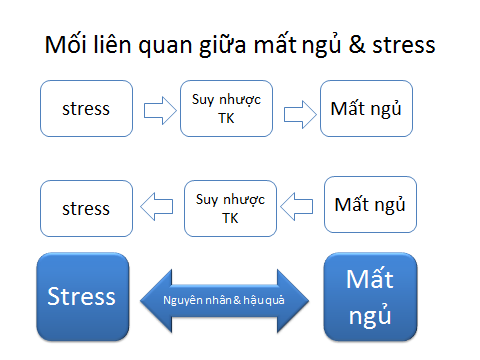 mat-ngu-1