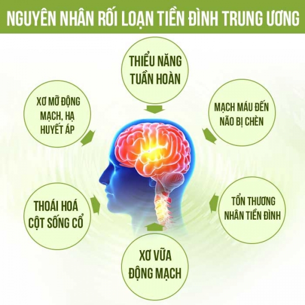 roi-loan-tien-dinh-2