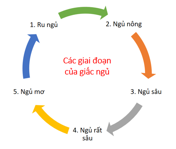 mat-ngu-1