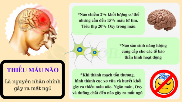 thieu-mau-nao-1